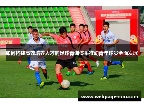 如何构建高效培养人才的足球青训体系推动青年球员全面发展