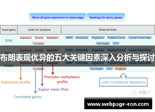 布朗表现优异的五大关键因素深入分析与探讨