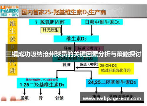 三镇成功吸纳沧州球员的关键因素分析与策略探讨