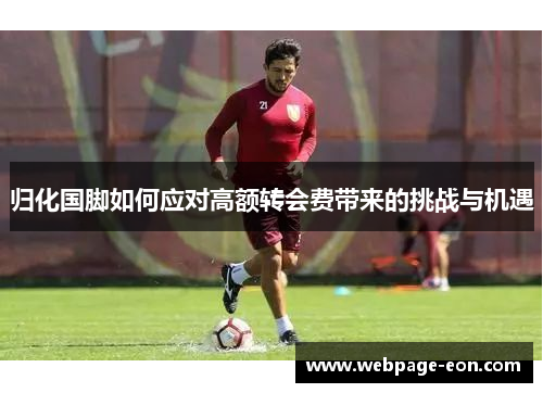 归化国脚如何应对高额转会费带来的挑战与机遇