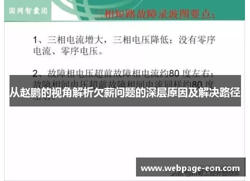 从赵鹏的视角解析欠薪问题的深层原因及解决路径