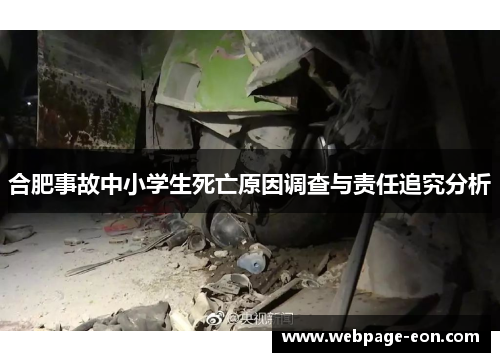 合肥事故中小学生死亡原因调查与责任追究分析